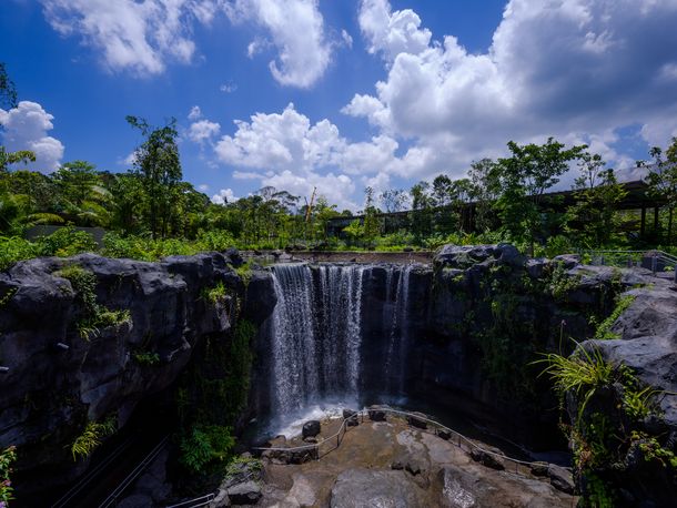 10m Wasserfall im Mandai Wildlife